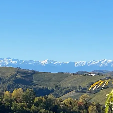 Viasavona46 Nel Cuore Delle Langhe * Treiso