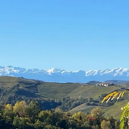 Viasavona46 Nel Cuore Delle Langhe Treiso